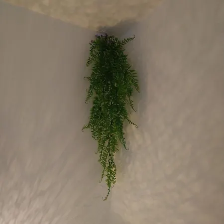 Cozy 2 Bedroom With Terrace Near The Beach And Park * Варна