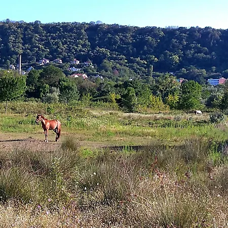 Appartement Cozy 2 Bedroom With Terrace Near The Beach And Park Varna