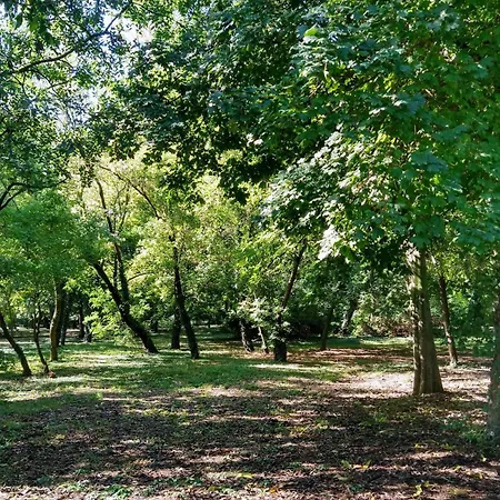 Cozy 2 Bedroom With Terrace Near The And Park Апартамент *